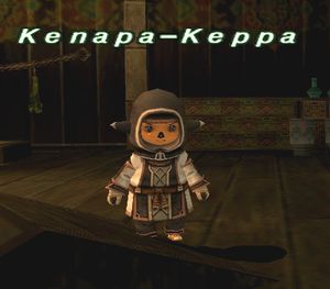 第2回 【FFXI】ファイナルファンタジーXI キャラクター人気投票【NPC人気ランキング】　－位　Kenapa-Keppaの画像