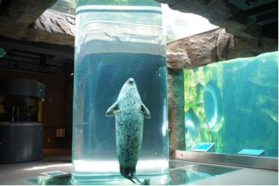 北海道旅行のおすすめ観光スポット人気投票　1位　旭山動物園の画像