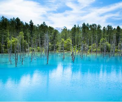 北海道旅行のおすすめ観光スポット人気投票・ランキング　－位　青い池の画像