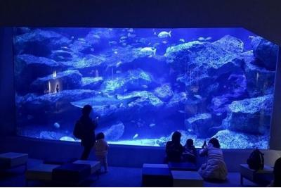 東京都旅行のおすすめ観光スポット人気投票　－位　すみだ水族館の画像