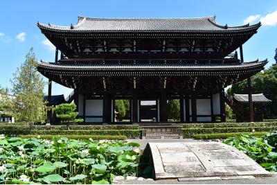 京都府旅行のおすすめ観光スポット人気投票・ランキング　－位　東福寺の画像