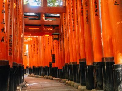 京都府旅行のおすすめ観光スポット人気投票 - ランキング　－位　伏見稲荷大社の画像