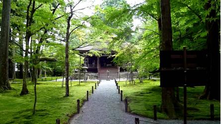 京都府旅行のおすすめ観光スポット人気投票　－位　三千院の画像