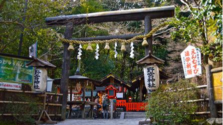 京都府旅行のおすすめ観光スポット人気投票　－位　野宮神社の画像