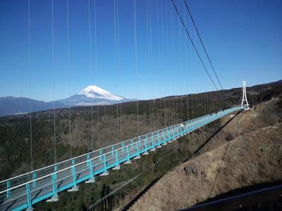 静岡県旅行のおすすめ観光スポット人気投票　－位　三島スカイウォークの画像