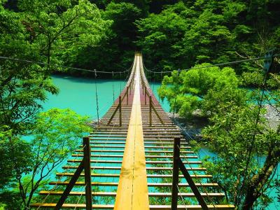 静岡県旅行のおすすめ観光スポット人気投票・ランキング　－位　夢の吊橋の画像