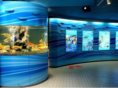 埼玉県旅行のおすすめ観光スポット人気投票・ランキング　－位　さいたま水族館の画像