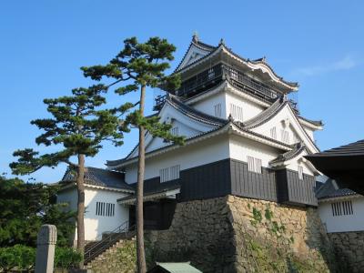 愛知県旅行のおすすめ観光スポット人気投票 - ランキング　－位　岡崎城の画像