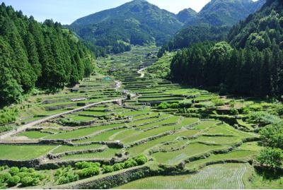 愛知県旅行のおすすめ観光スポット人気投票・ランキング　－位　四谷の千枚田の画像