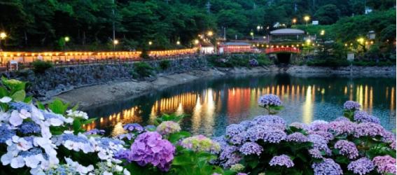 愛知県旅行のおすすめ観光スポット人気投票 - ランキング　－位　形原温泉 あじさいの里の画像