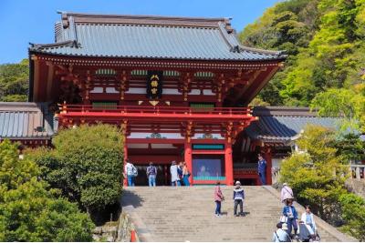 神奈川県旅行のおすすめ観光スポット人気投票・ランキング　－位　鶴岡八幡宮の画像