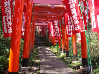 神奈川県旅行のおすすめ観光スポット人気投票・ランキング　－位　佐助稲荷神社の画像