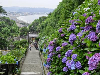 神奈川県旅行のおすすめ観光スポット人気投票・ランキング　－位　成就院の画像