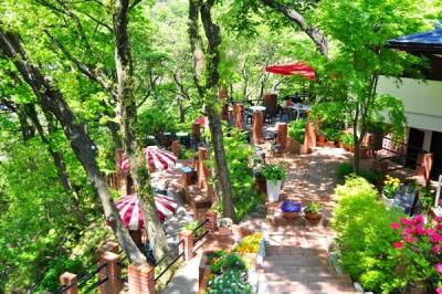 神奈川県旅行のおすすめ観光スポット人気投票・ランキング　－位　樹ガーデンの画像