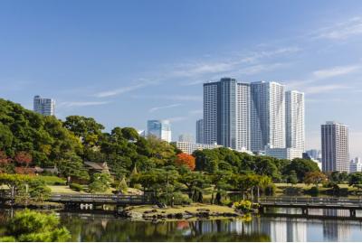 東京都旅行のおすすめ観光スポット人気投票・ランキング　－位　浜離宮恩賜庭園の画像
