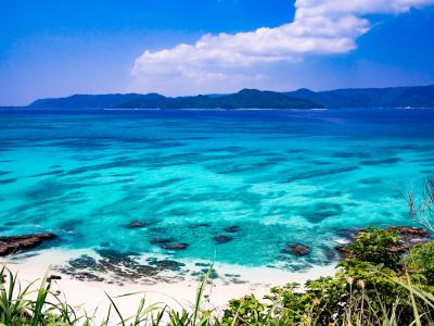 鹿児島県旅行のおすすめ観光スポット人気投票・ランキング　－位　奄美大島の画像