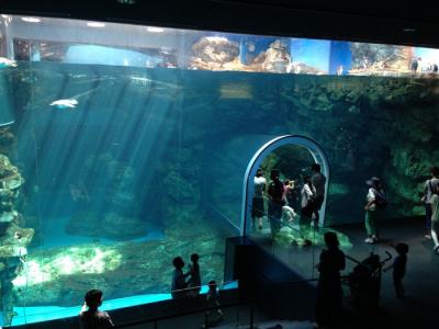 山口県旅行のおすすめ観光スポット人気投票・ランキング　－位　市立しものせき水族館 海響館の画像