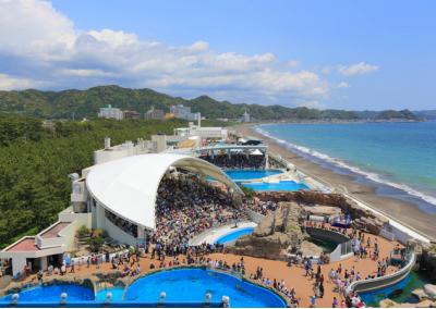 千葉県旅行のおすすめ観光スポット人気投票 - ランキング　2位　鴨川シーワールドの画像