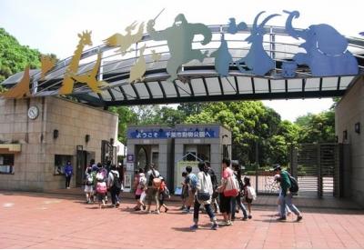 千葉県旅行のおすすめ観光スポット人気投票 - ランキング　－位　千葉市動物公園の画像