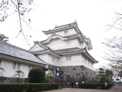 千葉県旅行のおすすめ観光スポット人気投票・ランキング　－位　大多喜城の画像