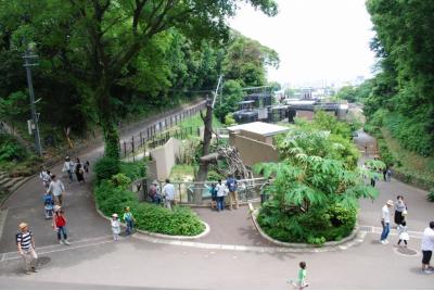 福岡県旅行のおすすめ観光スポット人気投票・ランキング　－位　福岡市動植物園の画像
