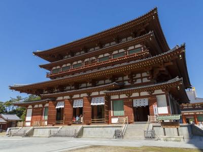奈良県旅行のおすすめ観光スポット人気投票・ランキング　－位　薬師寺の画像