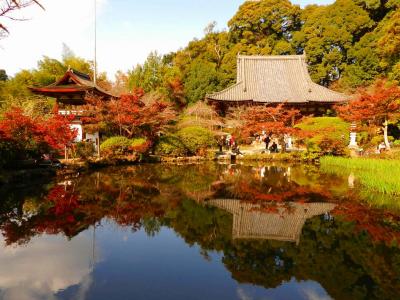 奈良県旅行のおすすめ観光スポット人気投票 - ランキング　－位　長岳寺の画像