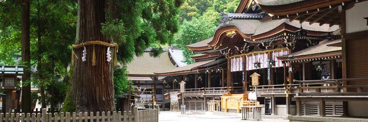 奈良県旅行のおすすめ観光スポット人気投票 - ランキング　－位　三輪明神 大神神社の画像