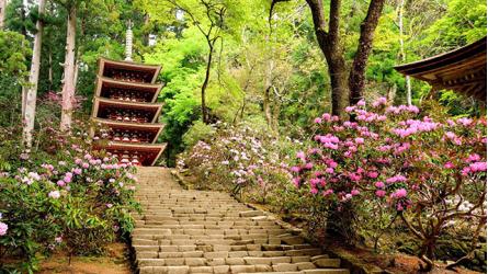 奈良県旅行のおすすめ観光スポット人気投票 - ランキング　－位　室生寺の画像