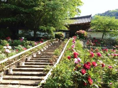 奈良県旅行のおすすめ観光スポット人気投票 - ランキング　－位　長谷寺の画像