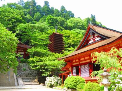 奈良県旅行のおすすめ観光スポット人気投票・ランキング　－位　談山神社の画像