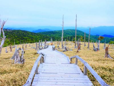 奈良県旅行のおすすめ観光スポット人気投票・ランキング　－位　大台ケ原の画像