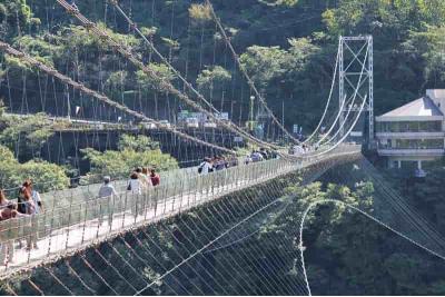 奈良県旅行のおすすめ観光スポット人気投票 - ランキング　－位　谷瀬の吊り橋の画像
