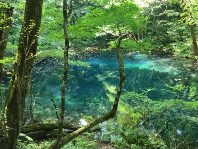 青森県旅行のおすすめ観光スポット人気投票 - ランキング　1位　十二湖の画像