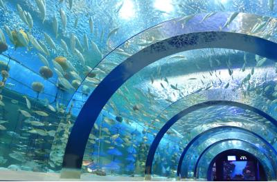 青森県旅行のおすすめ観光スポット人気投票 - ランキング　－位　青森県営浅虫水族館の画像