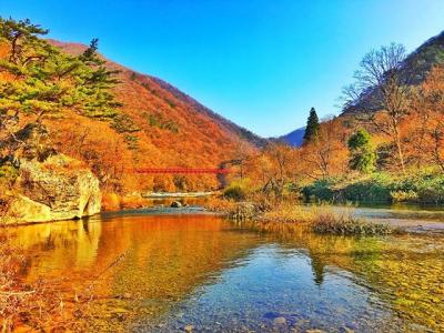 秋田県旅行のおすすめ観光スポット人気投票・ランキング　－位　抱返り渓谷の画像