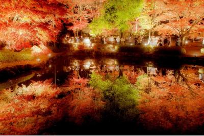 岐阜県旅行のおすすめ観光スポット人気投票・ランキング　－位　曽木公園の画像