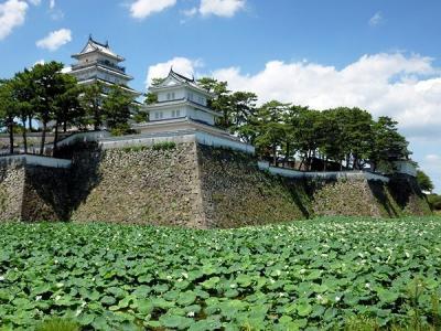 長崎県旅行のおすすめ観光スポット人気投票 - ランキング　－位　島原城の画像