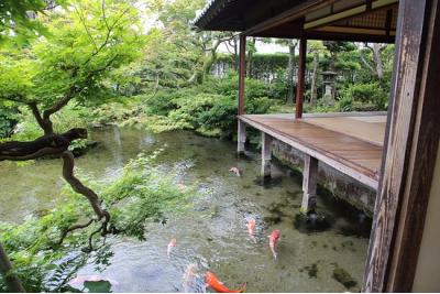 長崎県旅行のおすすめ観光スポット人気投票・ランキング　－位　湧水庭園四明荘の画像