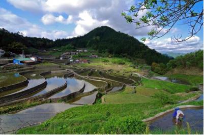 広島県旅行のおすすめ観光スポット人気投票 - ランキング　－位　井仁の棚田の画像