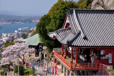 広島県旅行のおすすめ観光スポット人気投票　－位　千光寺の画像