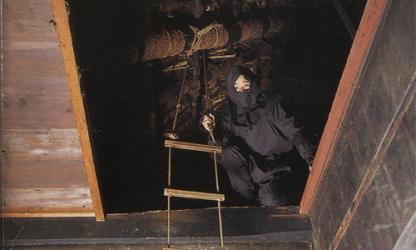 滋賀県旅行のおすすめ観光スポット人気投票 - ランキング　－位　甲賀流忍術屋敷の画像