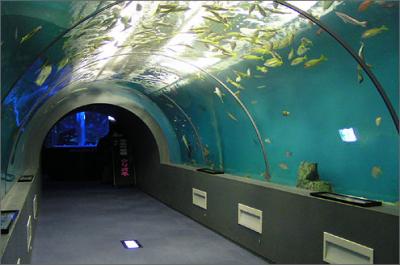 岩手県旅行のおすすめ観光スポット人気投票・ランキング　－位　久慈地下水族科学館もぐらんぴあの画像