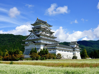 福井県旅行のおすすめ観光スポット人気投票・ランキング　－位　勝山城博物館の画像
