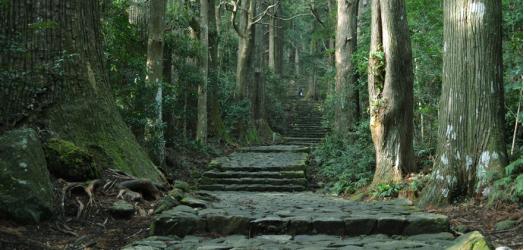 和歌山県旅行のおすすめ観光スポット人気投票　－位　熊野古道 大門坂の画像