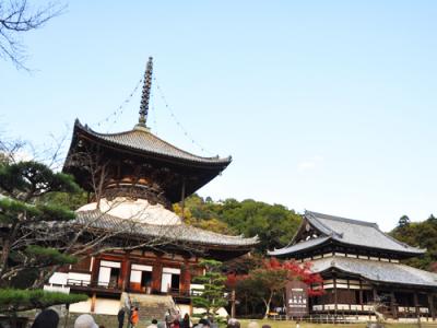 和歌山県旅行のおすすめ観光スポット人気投票・ランキング　－位　根来寺の画像