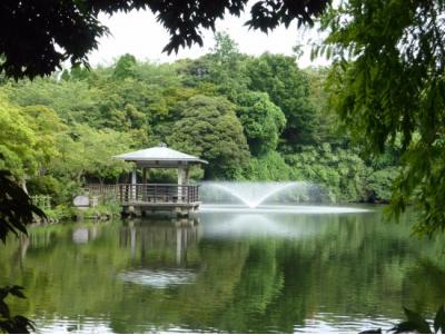 富山県旅行のおすすめ観光スポット人気投票 - ランキング　－位　高岡古城公園の画像
