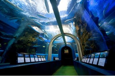 富山県旅行のおすすめ観光スポット人気投票 - ランキング　－位　魚津水族館の画像