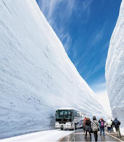 富山県旅行のおすすめ観光スポット人気投票 - ランキング　－位　雪の大谷ウォークの画像