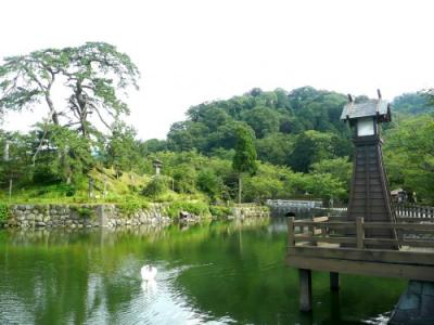 鳥取県旅行のおすすめ観光スポット人気投票・ランキング　－位　鹿野城跡公園の画像
